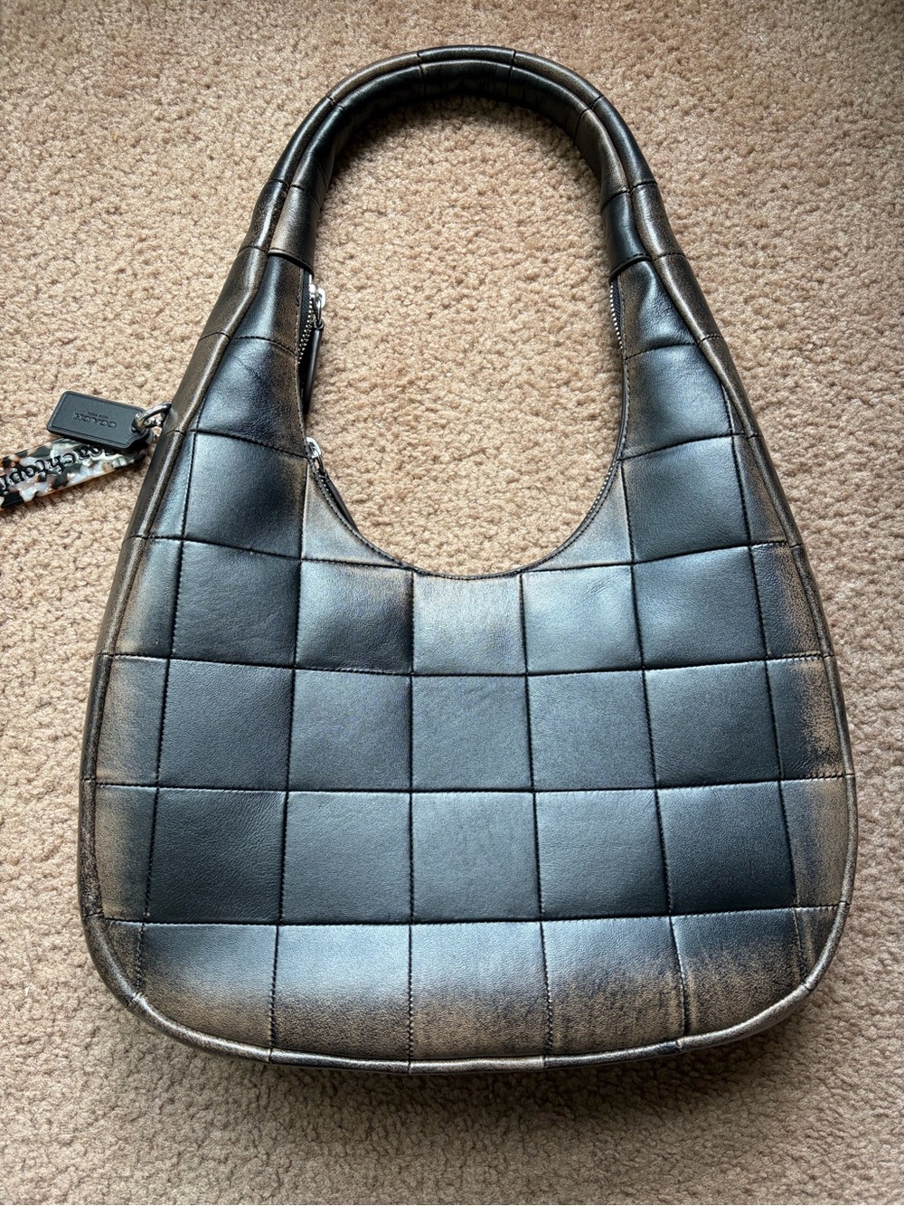 Coach Coachtopia Loved Leather Alter Ego Crescent Shoulder Bag - Picture 2 of 8
